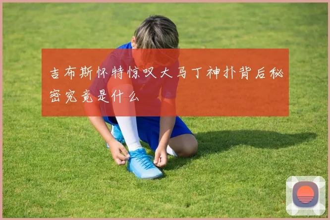吉布斯怀特惊叹大马丁神扑背后秘密究竟是什么
