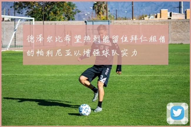 德泽尔比希望热刺能留住拜仁租借的帕利尼亚以增强球队实力