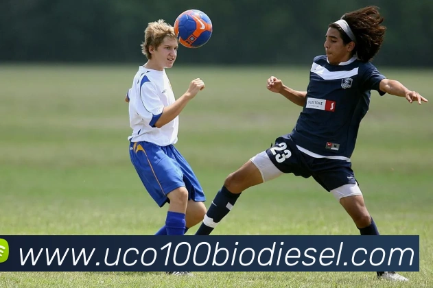 奖项证书